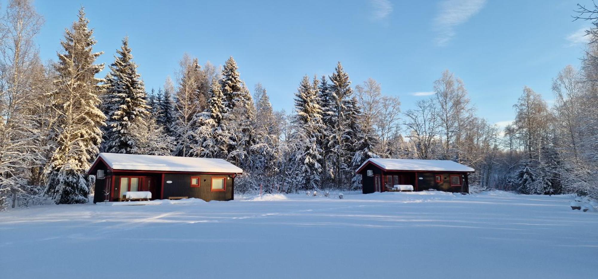 Nygard Cabins - Brandnew, Fully Equipped Home In Nature Sunne Luaran gambar