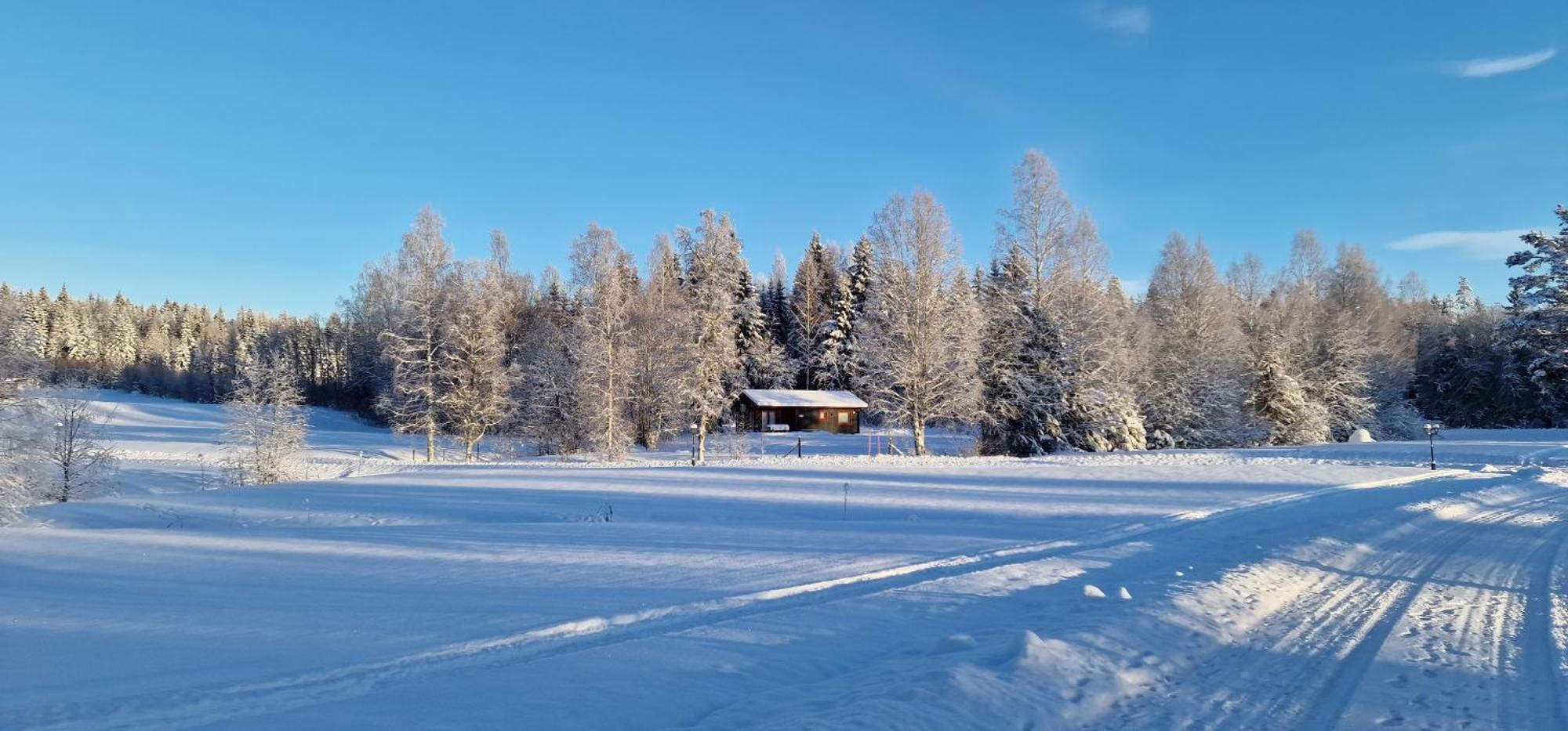 Nygard Cabins - Brandnew, Fully Equipped Home In Nature Sunne Luaran gambar